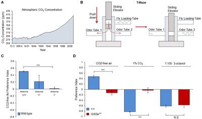 Flies Avoid Current Atmospheric CO2 Concentrations